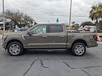 New 2026 Ford F-150 Platinum for sale #F6024 - photo 8