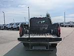 New 2025 Ford F-150 XLT SuperCrew Cab for sale #PF5129 - photo 14