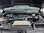 2022 Ford F-150 SuperCrew Cab 4x4 Pickup for sale #C501991 - photo 29