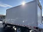 2025 Chevrolet LCF 5500XG Regular Cab RWD, Morgan Truck Body Gold Star Box Truck for sale #CK5013 - photo 6