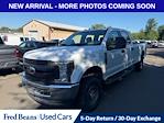 2018 Ford F-250 Crew Cab 4x4 Pickup for sale #CZ50132 - photo 3
