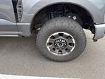2023 Ford F-250 Crew Cab 4WD Pickup for sale #CZ50511 - photo 14