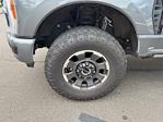 2023 Ford F-250 Crew Cab 4WD Pickup for sale #CZ50511 - photo 8