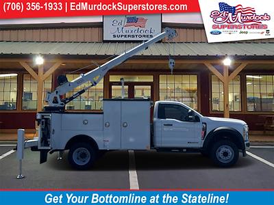 2023 Ford F-600 Regular Cab DRW RWD, Reading Master Mechanic HD Crane for sale #FT23445 - photo 1