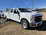 2024 Ford F-250 Crew Cab RWD, Service Truck for sale #FT24597 - photo 1