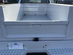 2024 Ford F-250 Regular Cab 4WD Service Truck for sale #FT24682 - photo 10