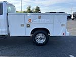 2024 Ford F-250 Regular Cab 4WD Service Truck for sale #FT24682 - photo 9