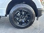 2025 Ford F-150 SuperCrew Cab 4WD Pickup for sale #FT25253 - photo 12
