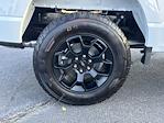 2025 Ford F-150 SuperCrew Cab 4WD Pickup for sale #FT25253 - photo 17
