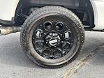 2025 Ford F-250 Crew Cab 4WD Pickup for sale #FT25287 - photo 19