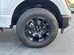 2025 Ford F-150 SuperCrew Cab 4WD Pickup for sale #FT25301 - photo 12