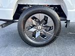 2025 Ford F-150 SuperCrew Cab 4WD Pickup for sale #FT25386 - photo 17