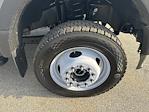 New 2025 Ford F-550 Regular Cab Cab Chassis for sale #FT25508 - photo 11