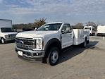 New 2025 Ford F-550 Regular Cab Cab Chassis for sale #FT25508 - photo 1