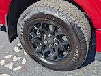 New 2025 Ford F-150 XLT SuperCrew Cab for sale #251040 - photo 18