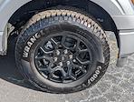 New 2025 Ford F-150 XLT SuperCrew Cab for sale #251041 - photo 18