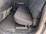 New 2025 Ford F-150 XLT SuperCrew Cab for sale #251041 - photo 6