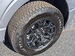 New 2025 Ford F-150 XLT SuperCrew Cab for sale #251043 - photo 18