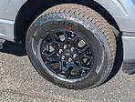 New 2026 Ford F-150 XLT SuperCrew Cab for sale #26194 - photo 17