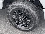 2026 Ford F-250 Crew Cab 4WD Pickup for sale #26278 - photo 9