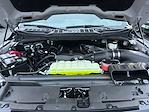2024 Ford F-150 SuperCrew Cab 4x4 Pickup for sale #F40483 - photo 29