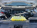 2024 Ford F-150 SuperCrew Cab 4x4 Pickup for sale #F40776 - photo 29