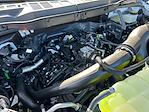 2024 Ford F-150 SuperCrew Cab 4x4 Pickup for sale #F40776 - photo 30