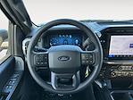 2024 Ford F-150 SuperCrew Cab 4x4 Pickup for sale #F40806 - photo 14