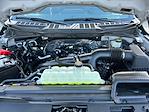 2024 Ford F-150 SuperCrew Cab 4x4 Pickup for sale #F40806 - photo 29