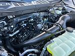 2024 Ford F-150 SuperCrew Cab 4x4 Pickup for sale #F40806 - photo 30