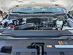 2025 Ford F-550 Regular Cab DRW 4x4 Cab Chassis for sale #F50205 - photo 20