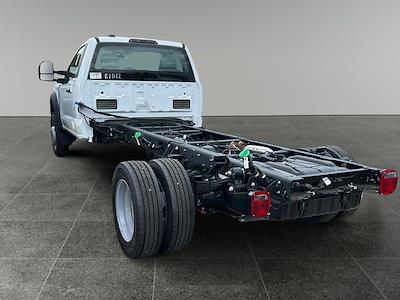 2025 Ford F-550 Regular Cab DRW 4x4 Cab Chassis for sale #F50209 - photo 1