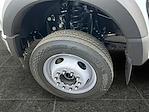 New 2025 Ford F-550 XL Regular Cab 4x4 Cab Chassis for sale #F50209 - photo 4