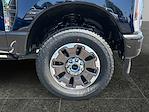 2025 Ford F-350 Crew Cab SRW 4x4 Pickup for sale #F50250 - photo 9