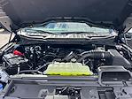 2025 Ford F-150 SuperCrew Cab 4x4 Pickup for sale #F50279 - photo 29