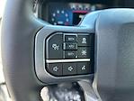 2025 Ford F-150 SuperCrew Cab 4x4 Pickup for sale #F50283 - photo 17