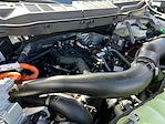 2025 Ford F-150 SuperCrew Cab 4x4 Pickup for sale #F50283 - photo 30