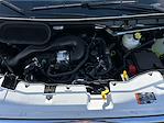 New 2025 Ford Transit 250 Low Roof Empty Cargo Van for sale #F50406 - photo 23