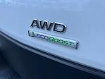 New 2025 Ford Transit 250 Low Roof AWD Empty Cargo Van for sale #F50416 - photo 25
