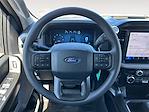 2025 Ford F-150 SuperCrew Cab 4x4 Pickup for sale #F50447 - photo 14