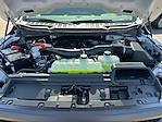 2025 Ford F-150 SuperCrew Cab 4x4 Pickup for sale #F50447 - photo 30