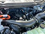 2025 Ford F-150 SuperCrew Cab 4x4 Pickup for sale #F50447 - photo 31