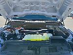 2025 Ford F-150 SuperCrew Cab 4WD Pickup for sale #F50448 - photo 27