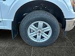 New 2025 Ford F-150 XL SuperCrew Cab for sale #F50448 - photo 9