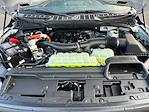 New 2025 Ford F-150 XL SuperCrew Cab for sale #F50448 - photo 29