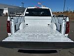 2025 Ford F-150 SuperCrew Cab 4WD Pickup for sale #F50460 - photo 24