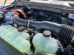 2025 Ford F-150 SuperCrew Cab 4WD Pickup for sale #F50460 - photo 30