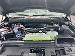2025 Ford F-150 SuperCrew Cab 4x4 Pickup for sale #F50464 - photo 29