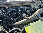 2025 Ford F-150 SuperCrew Cab 4WD Pickup for sale #F50534 - photo 30