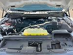 2025 Ford F-150 SuperCrew Cab 4x4 Pickup for sale #F50535 - photo 30